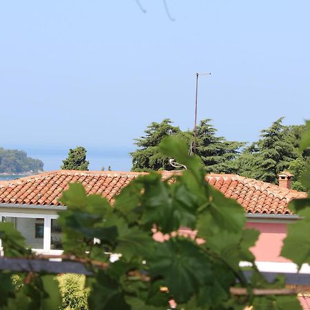 Apartments Horizont Rovinj Extérieur photo